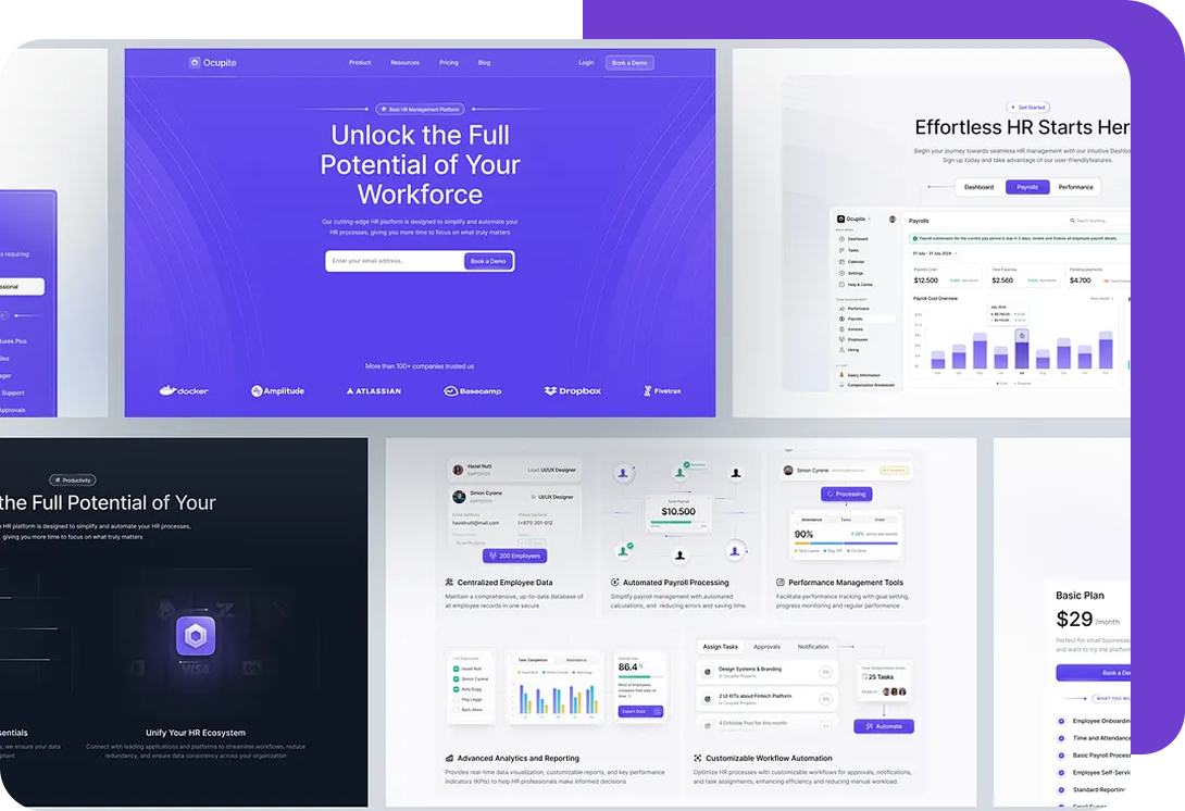 Website Design